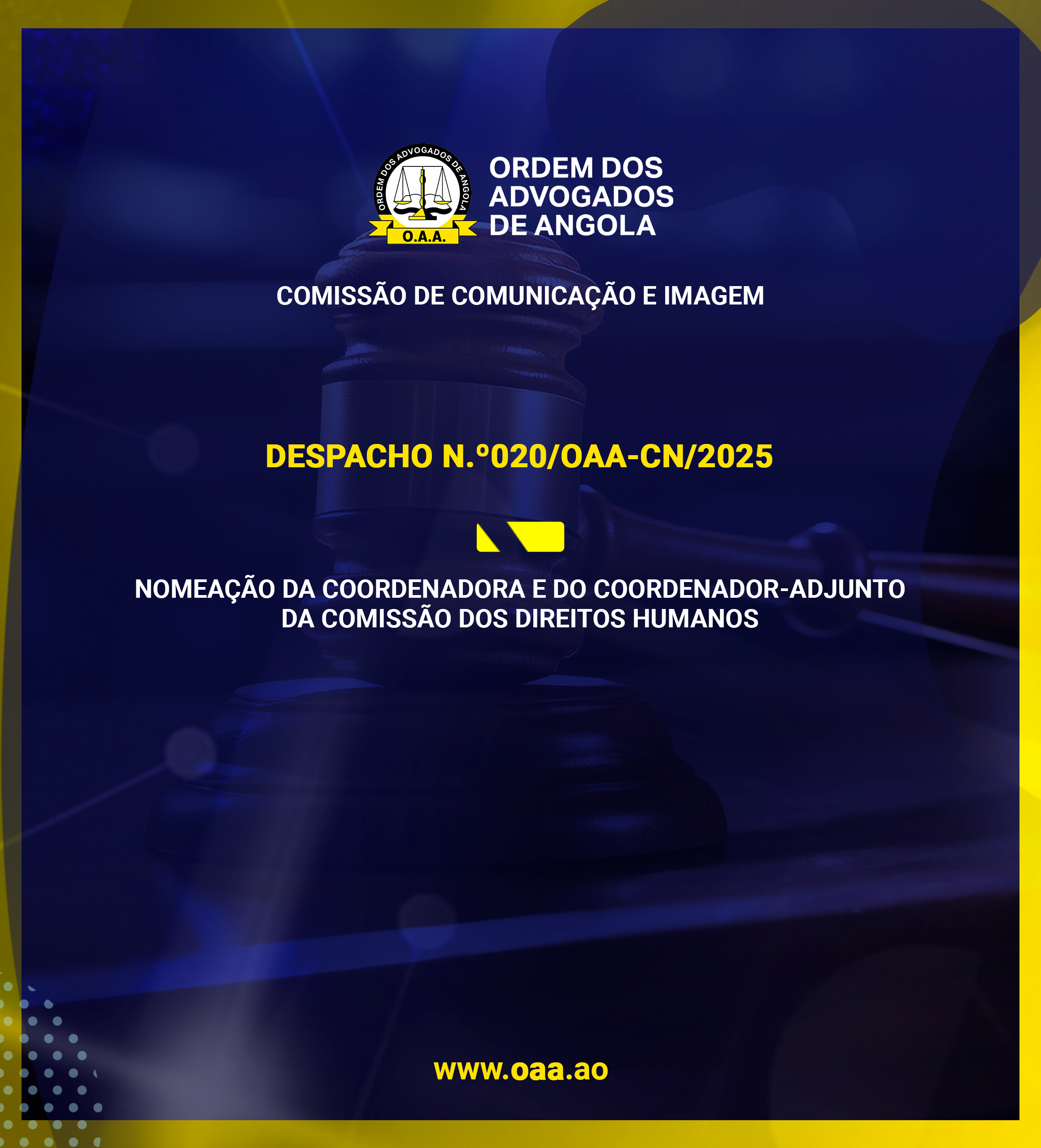 NOMEAÇÃO DA COORDENADORA E DO COORDENADOR-ADJUNTO DA COMISSÃO DE DIREITOS HUMANOS